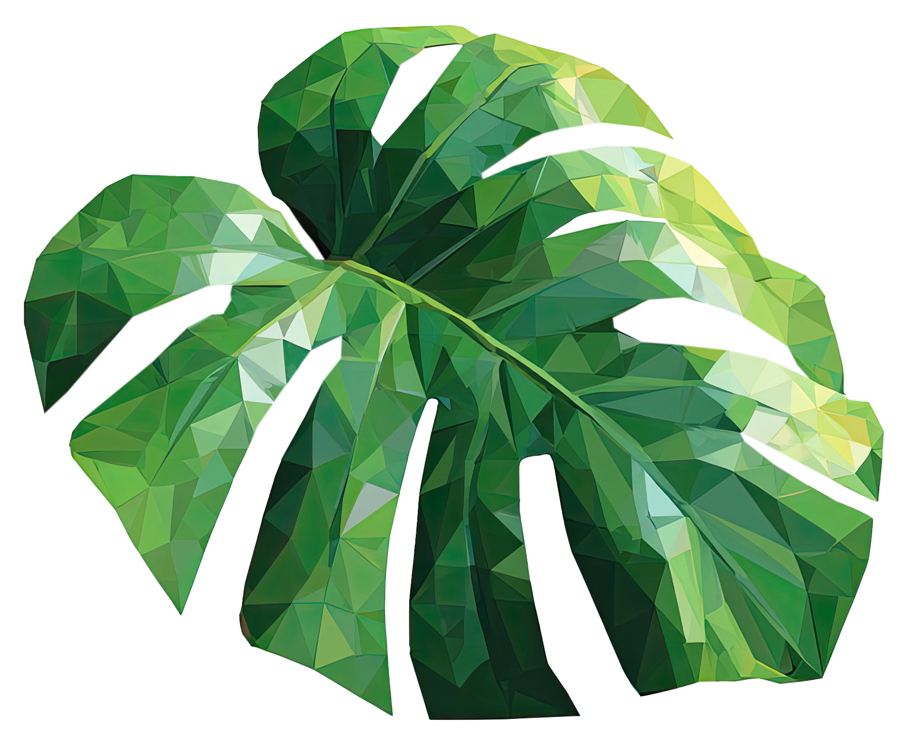 Feuille