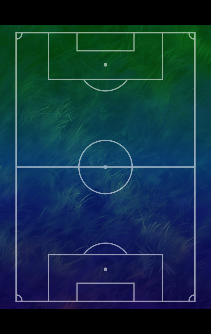 Image du terrain