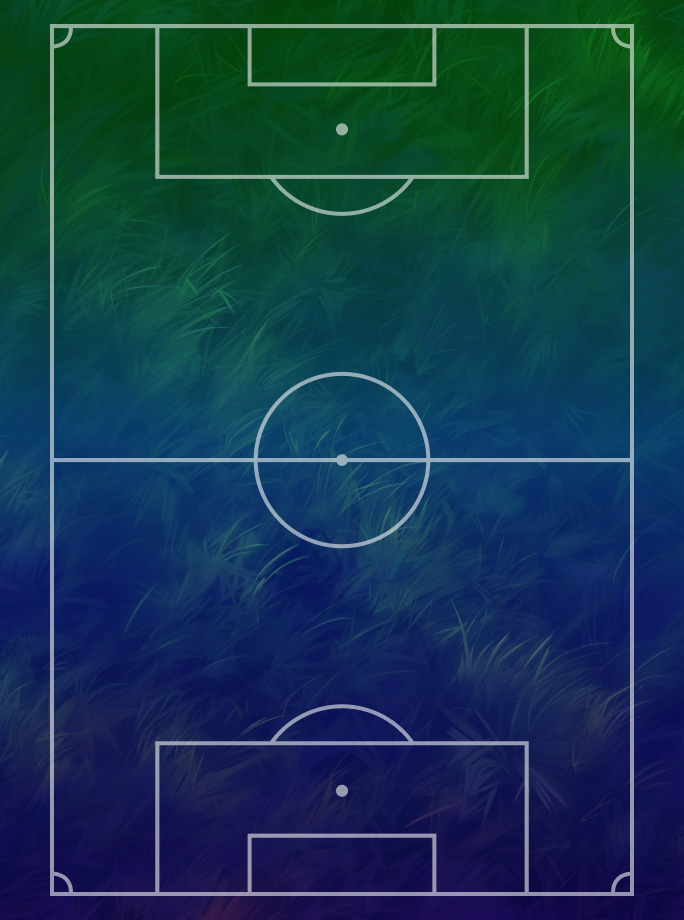 Image du terrain