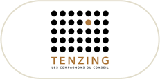 Logo Tenzing
