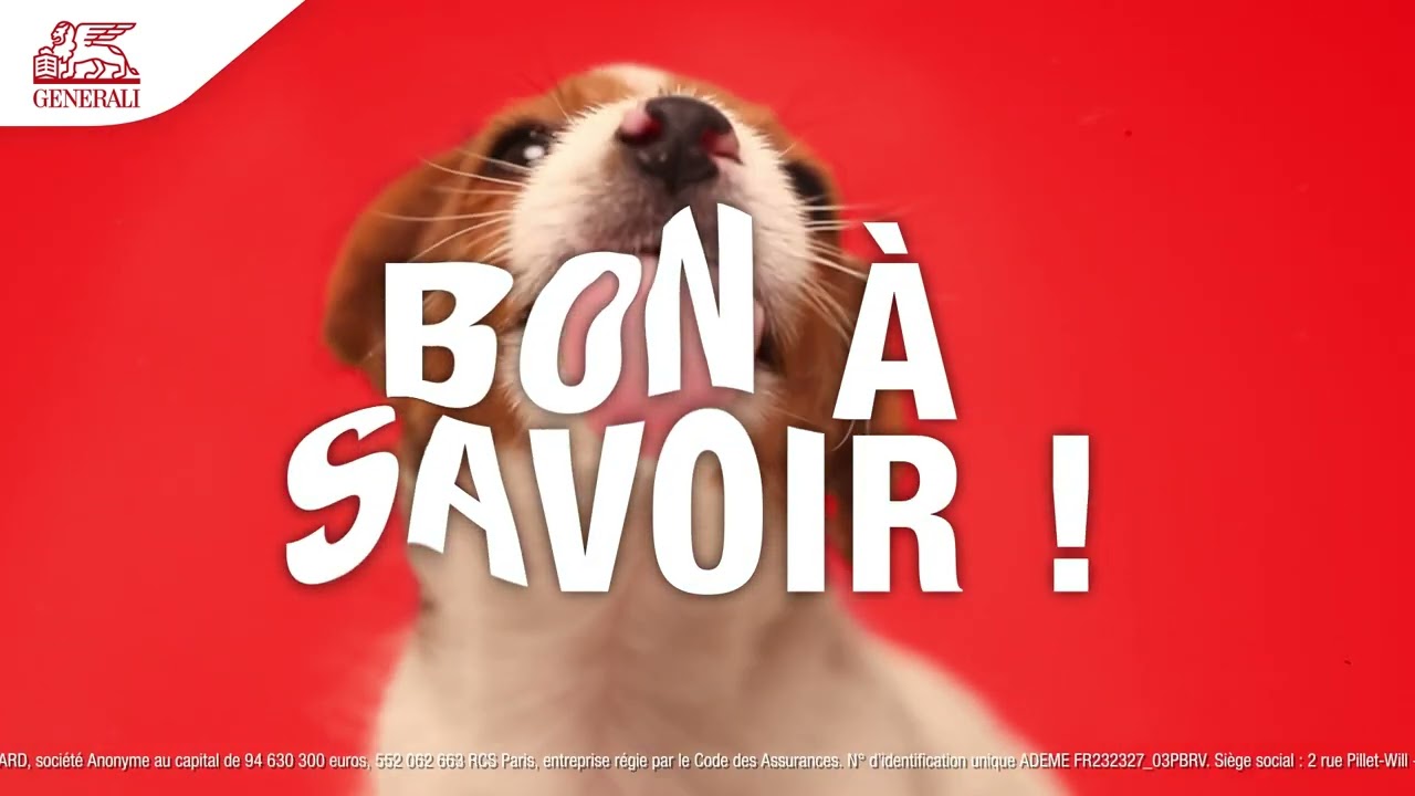 Visuel Generali santé animal, l'assurance recommandée par la SPA | Generali