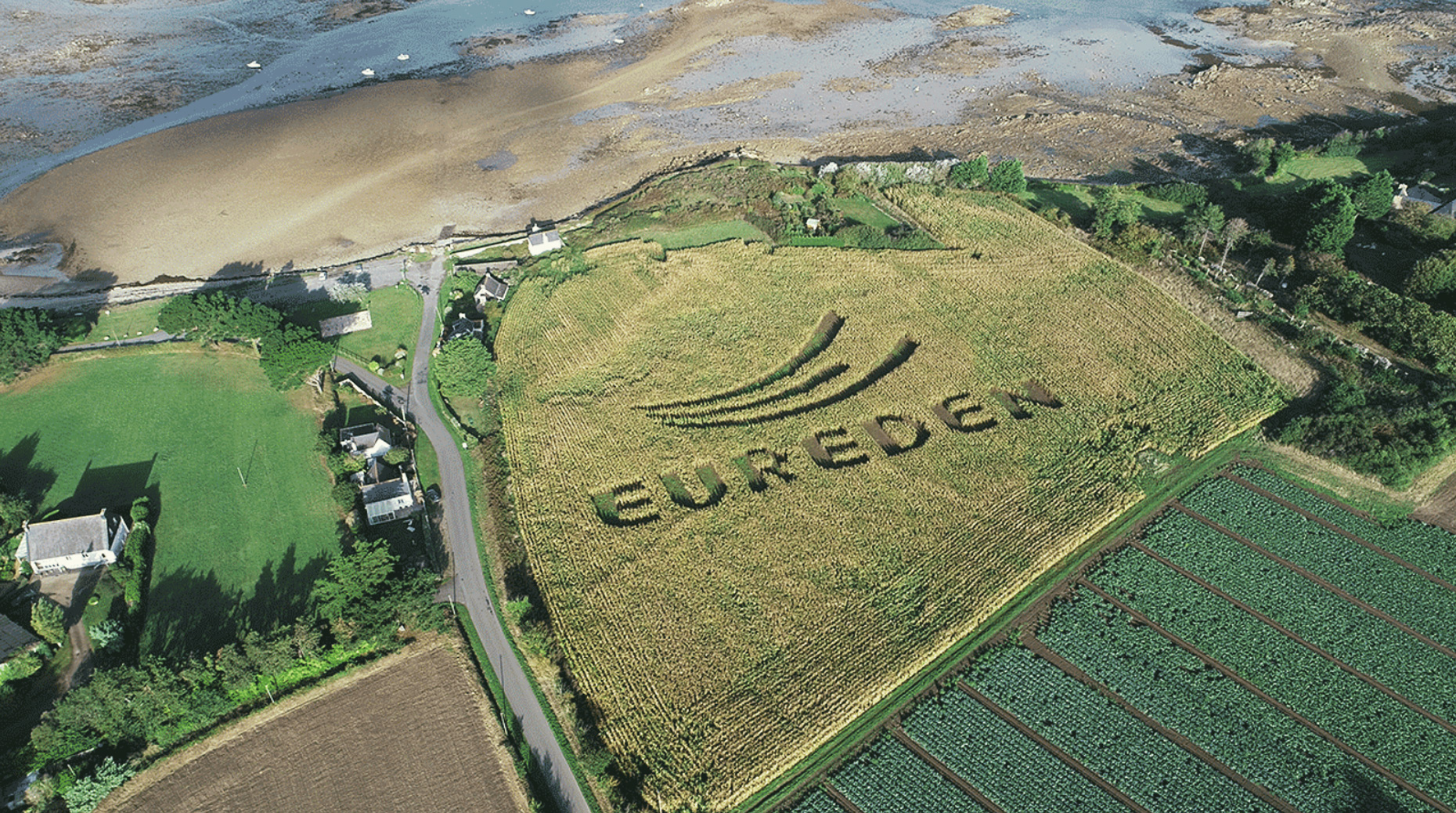 Visuel Captives : Plein champ pour Eureden