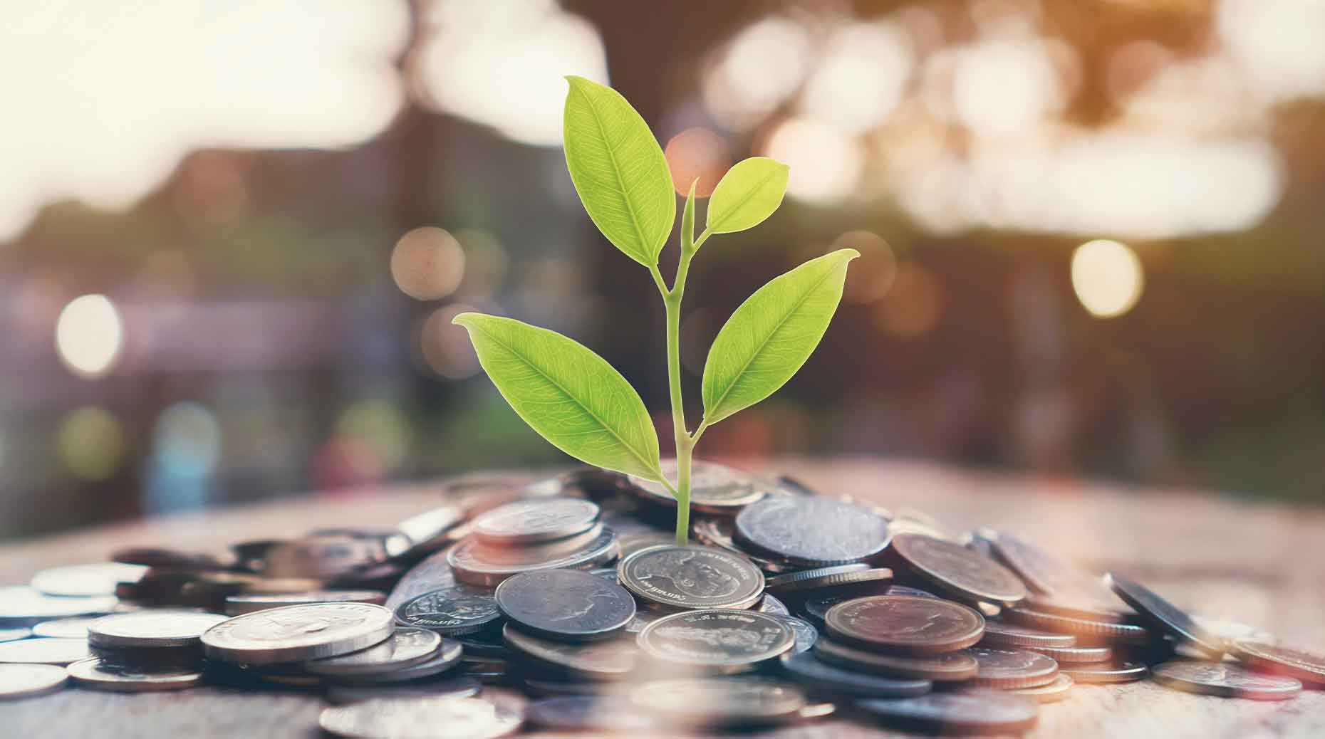 Visuel Finance responsable : La méfiance reste de mise