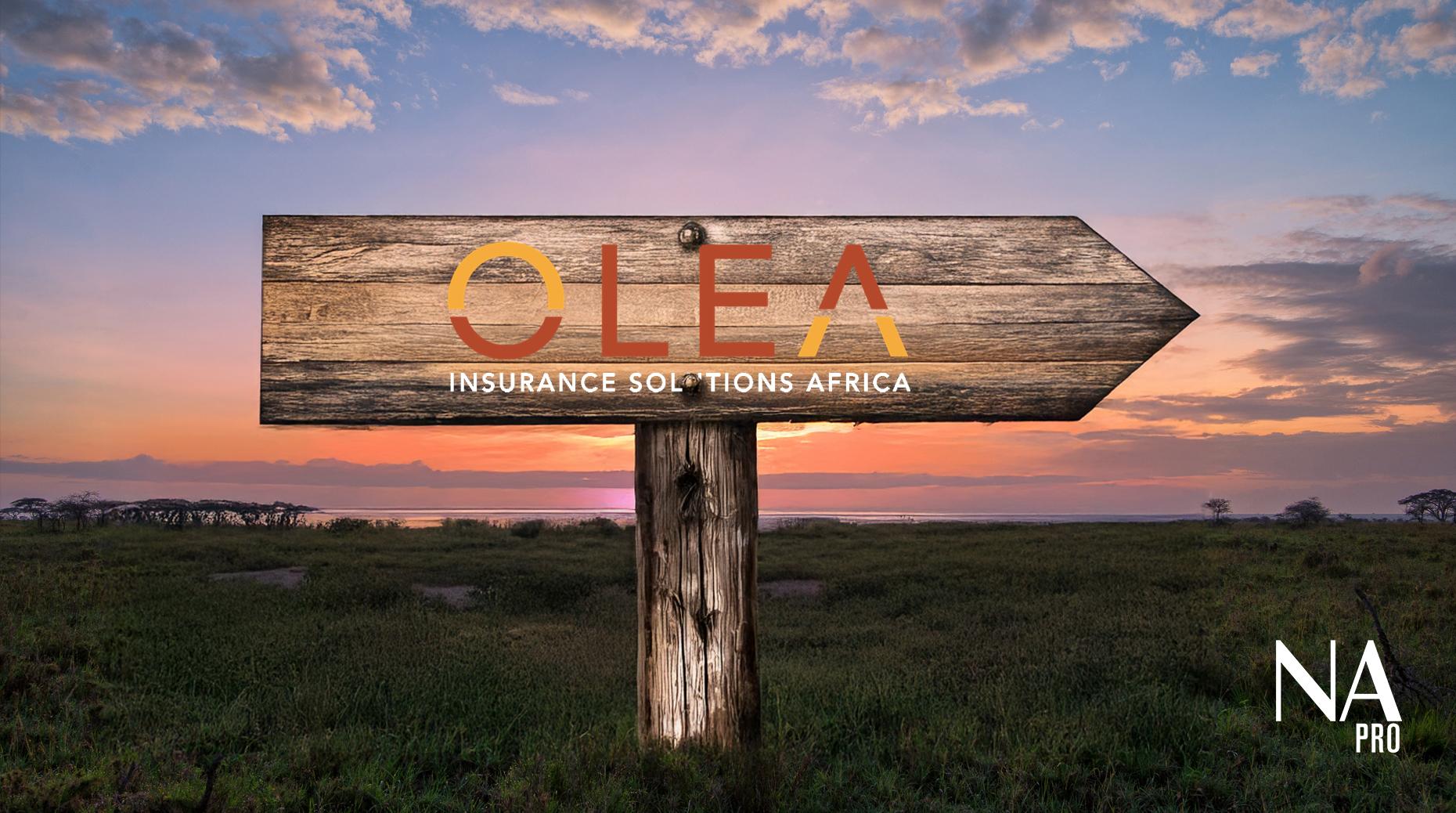 Afrique : Olea finalise l’acquisition de Marsh Ouganda
