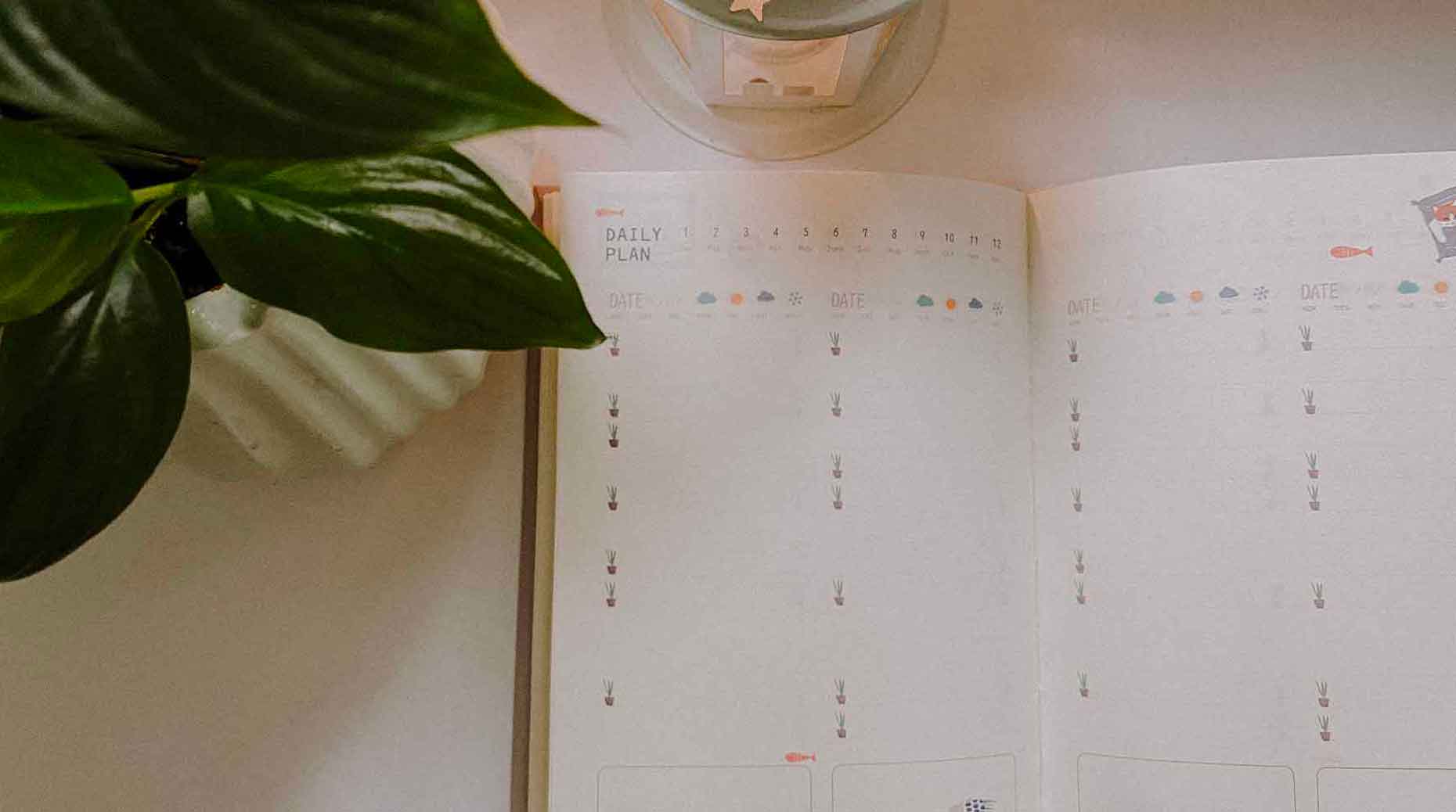 Image de Assurance : Une semaine décisive