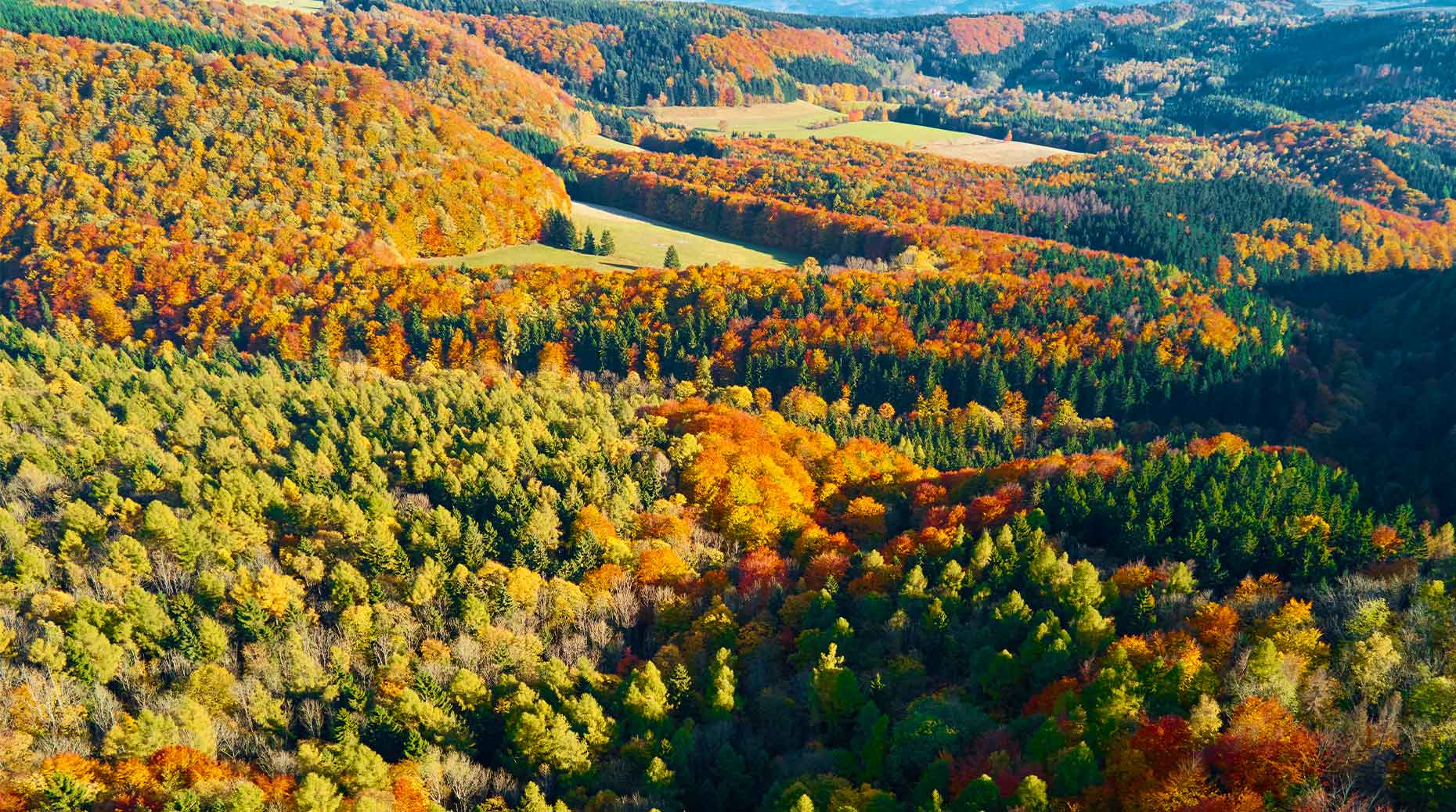 Visuel Climat : Les assureurs au rendez-vous, selon la fédération