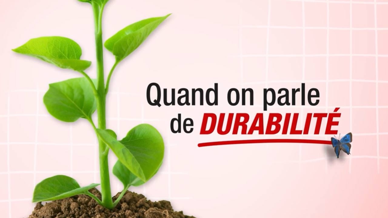 La durabilité, qu'est-ce que c'est ?